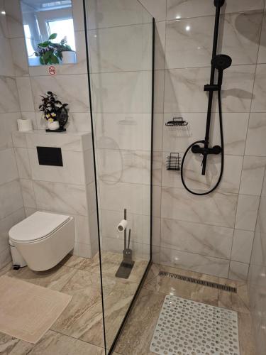 a bathroom with a shower and a toilet at Szabó Vendégház in Bükkszék