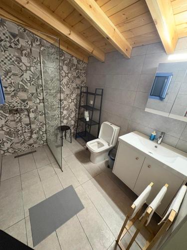 a bathroom with a toilet and a shower and a sink at Lithos Heritage in Líkhna