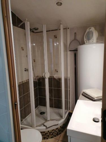 a bathroom with a shower with a toilet and a sink at LE CHAMOIS DORT in Die