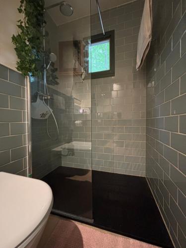 a bathroom with a glass shower with a toilet at Forest Lounge in Petit Mesnil