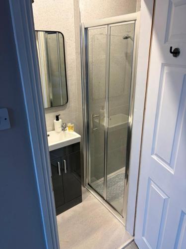 a bathroom with a glass shower and a sink at Shamrock Quay in Cork