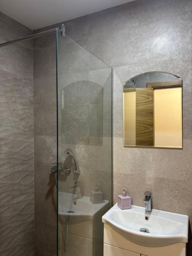 a bathroom with a sink and a glass shower at Apartment MareMare Budva in Rafailovici