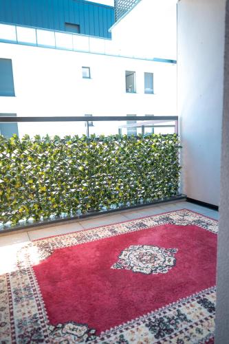 Appartement T3 Baignoire balnéo, terrasse, garage