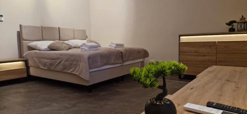 a bedroom with a bed and a table with a plant at Breakpoint Loft - City Center in Łobez