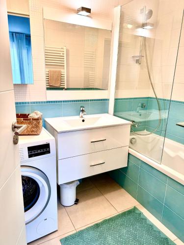 Modern renovated 1 bedroom apartment in Antibes