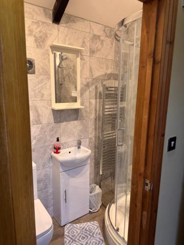 a bathroom with a shower and a sink and a toilet at Holywell Grange Farm in Whitley Bay