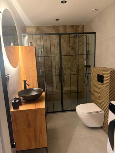 a bathroom with a sink and a shower with a toilet at Apartament Zamkowy Zakątek in Lidzbark Warmiński