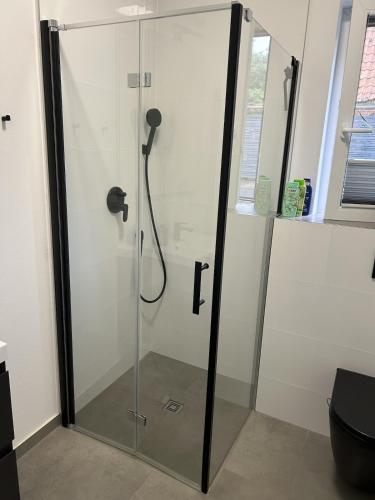 a shower with a glass door in a bathroom at Moderne 1-Zimmer-Gästewohnung im Neubau mit schönem Garten in Pronstorf
