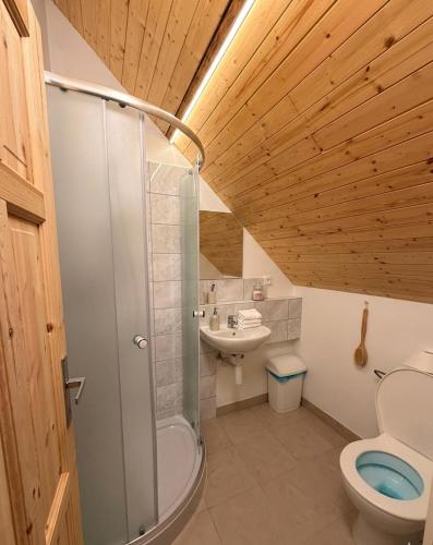 a bathroom with a shower and a toilet and a sink at Hostinec U Rypáka in Vrátkov