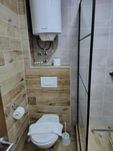 a small bathroom with a toilet and a shower at Aurora Kopaonik in Raška