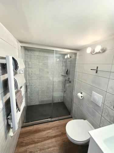 a bathroom with a shower and a toilet at Le Chalet de Pyrène et Hercule in Arignac