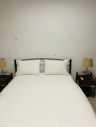 Central Apartment 5
