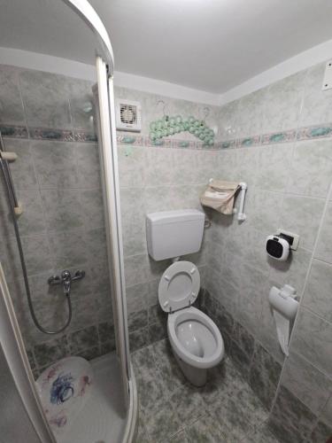 a small bathroom with a toilet and a shower at Apartma Dajana in Lokve