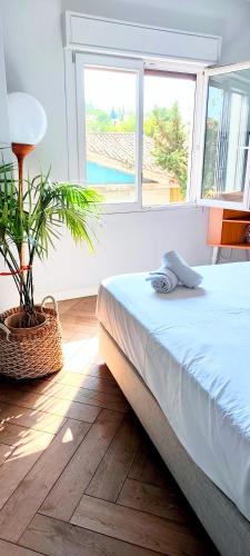 Wonderful apartment in Plaka