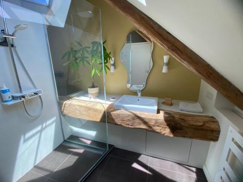 a bathroom with a sink and a mirror at Lilau - Villa de charme avec parking et jardin près de Chantilly in Gouvieux