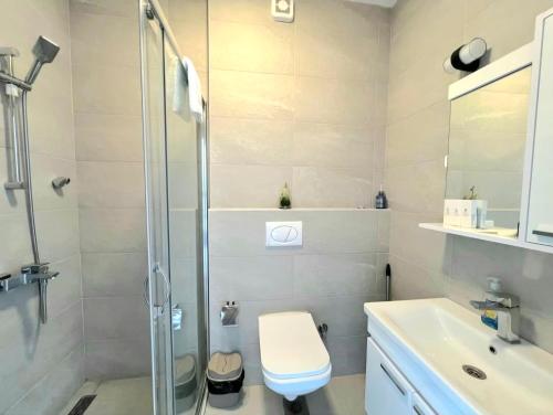 a bathroom with a shower and a toilet and a sink at Cosy Adriatic Studio in Kotor