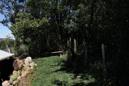 a yard with a fence and some trees and grass at Greemount Hotel in Monteverde Costa Rica