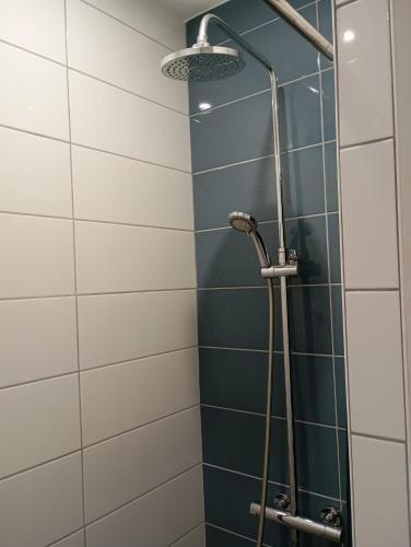 a shower in a bathroom with blue and white tiles at La Belle Florentine in Saint-Florent-le-Vieil