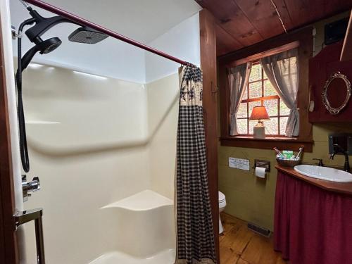 a bathroom with a shower and a sink at Old Deerfield Treasure! in Deerfield