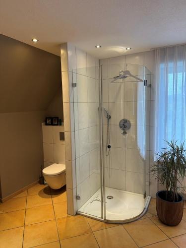 a bathroom with a shower and a toilet at Stadtvilla Annabelle - mit Sauna in Meschede