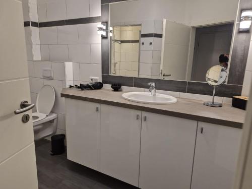 a bathroom with a sink and a mirror and a toilet at Tillmanns Ankerplatz in Norden