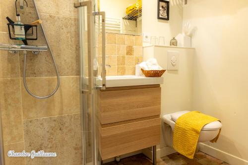 a bathroom with a shower with a sink and a toilet at La Maison Des Buis in Falaise