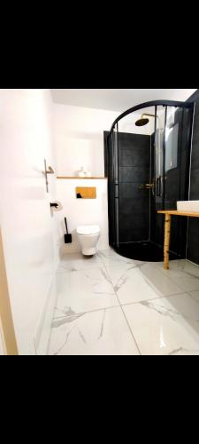 a bathroom with a toilet and a glass shower at FeWo Hirsch in Todtmoos