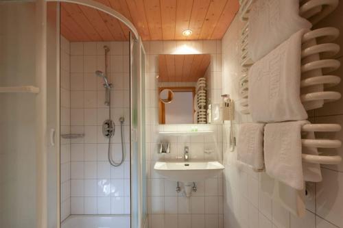 a bathroom with a shower and a sink and a shower at Hotel Alpenblume in Damuls