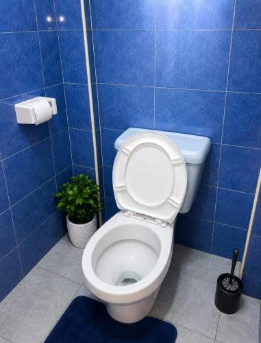 a blue tiled bathroom with a toilet and a plant at Nexus Staycations in Maralal