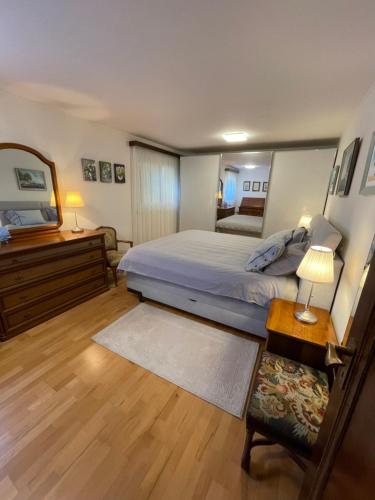 a large bedroom with a bed and a mirror at Casa Giardinetto in Brusino Arsizio