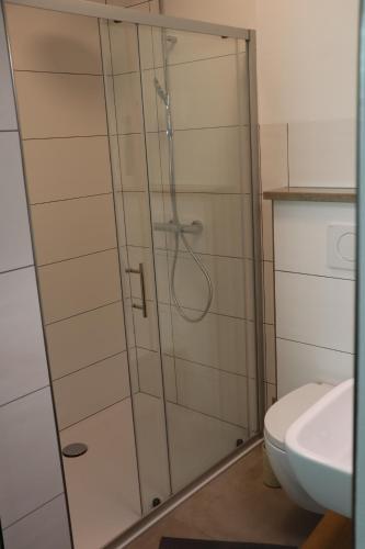 a shower in a bathroom with a toilet and a sink at Ferienoase übern Zottbachtal in Pleystein