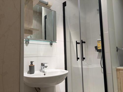 a bathroom with a sink and a shower at Appartement centre-ville Montluel in Montluel
