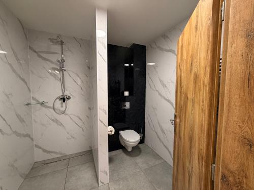 a bathroom with a toilet and a walk in shower at Kolík Apartmány in Bohumín