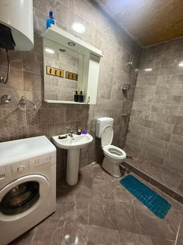 a bathroom with a washing machine and a sink at Village FLOWER IVY Montenegro in Nikšić