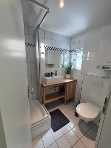 a bathroom with a sink and a toilet and a shower at Antonios Hüttenzauber in Oberhof
