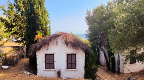 a small house with a thatched roof at Camping Himara in Himare