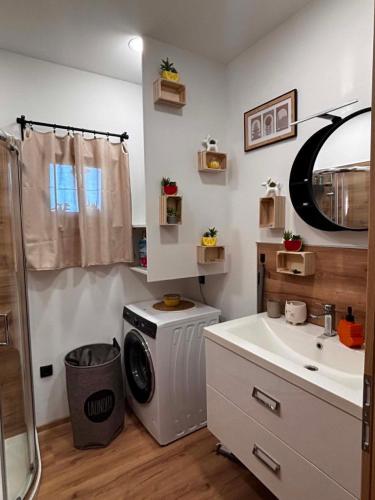a bathroom with a washing machine and a sink at Ranč na hribu in Trebnje