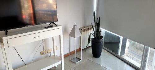 a living room with a television and a vase with a plant at Carilo in Villa Carlos Paz