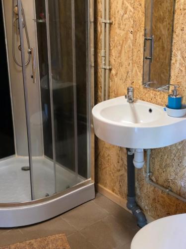 a bathroom with a sink and a shower at Atpūtas sēta Lībieši in Luņi