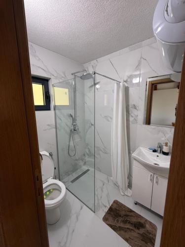 a bathroom with a shower and a toilet and a sink at Bungalows Panorama Hills in Plužine