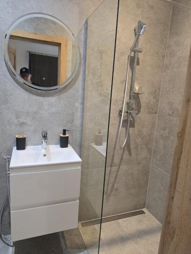 a bathroom with a sink and a shower with a mirror at Bieszczady Bóbrka 24 in Bóbrka