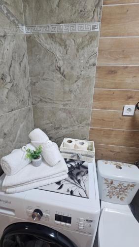a bathroom with a washing machine and a toilet at Divine Luxury Rasnov in Râşnov