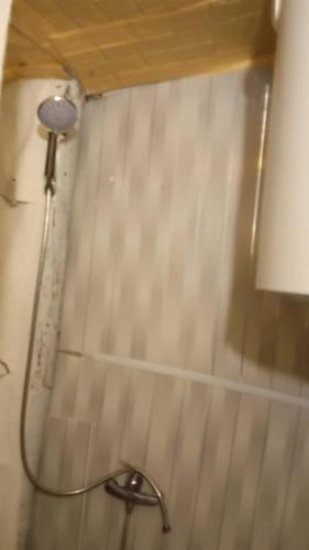 a shower in a bathroom with a lamp on the wall at Ushba Hearth House in Tvebishi
