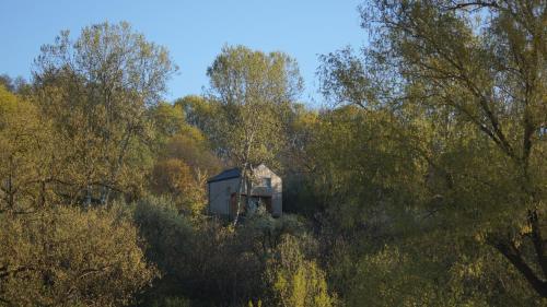 an out house in the middle of a forest of trees at PrzyStań w Ciszy in Kozielec