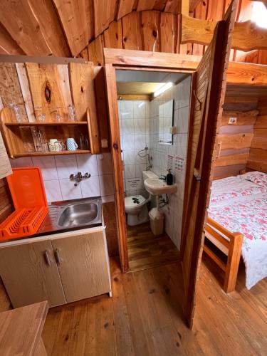 a bathroom with a sink and a toilet in a room at BiesChatki in Wetlina