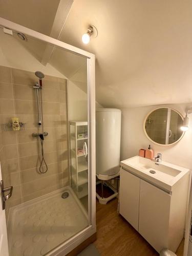 a bathroom with a shower and a sink at Au Canon - Parking gratuit - Bords de Loire in Orléans