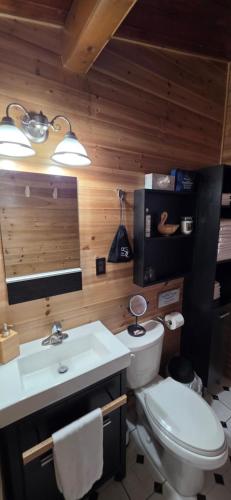 a bathroom with a white toilet and a sink at Captain JaC's Hideaway in Mallorytown