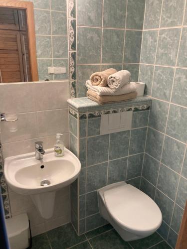 a bathroom with a sink and a toilet at Penzion Kohout in Nýrsko