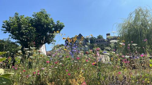 a garden filled with lots of colorful flowers at Fischerhaus Herstelle in Beverungen