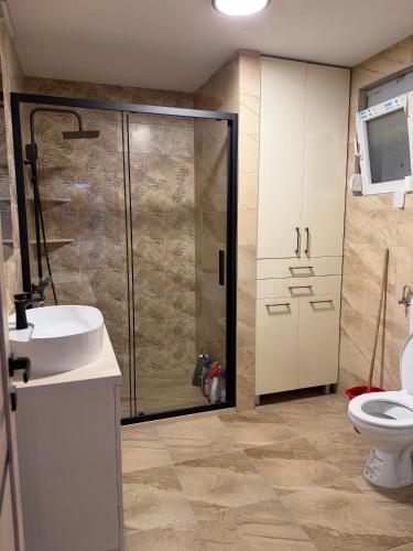 a bathroom with a shower and a sink and a toilet at Lux apartment in Dobra Voda